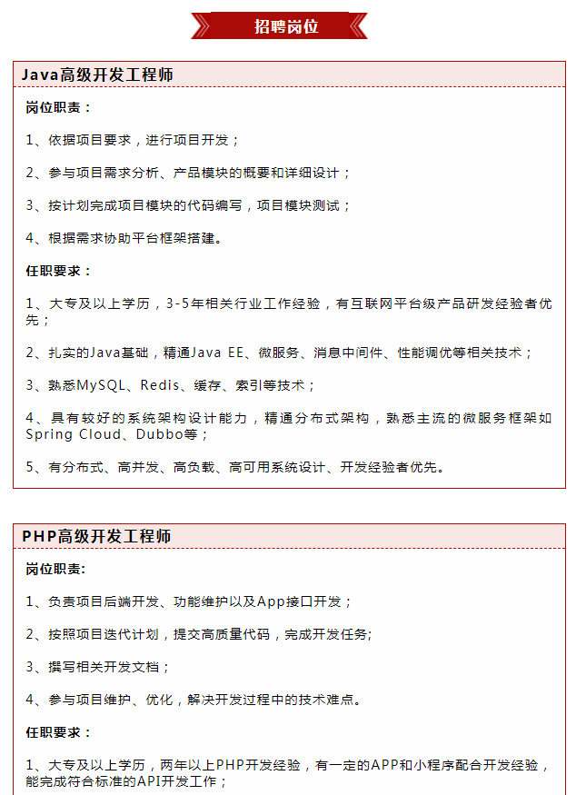 萬狼科技誠聘精英，“職”等你來